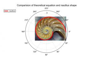 nautilus